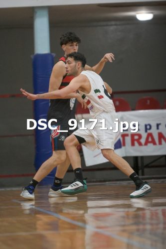 DSC 9171