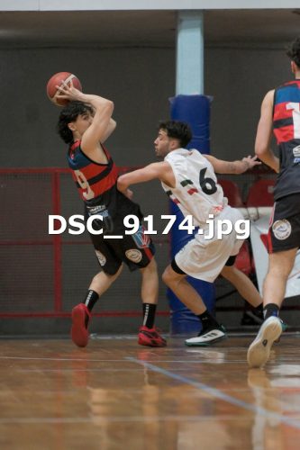 DSC 9174