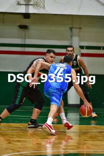 DSC 9355
