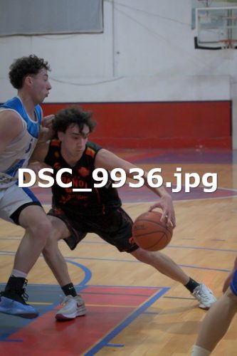 DSC 9936
